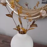 شقة Gioda