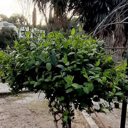 Apartamento Gioda
